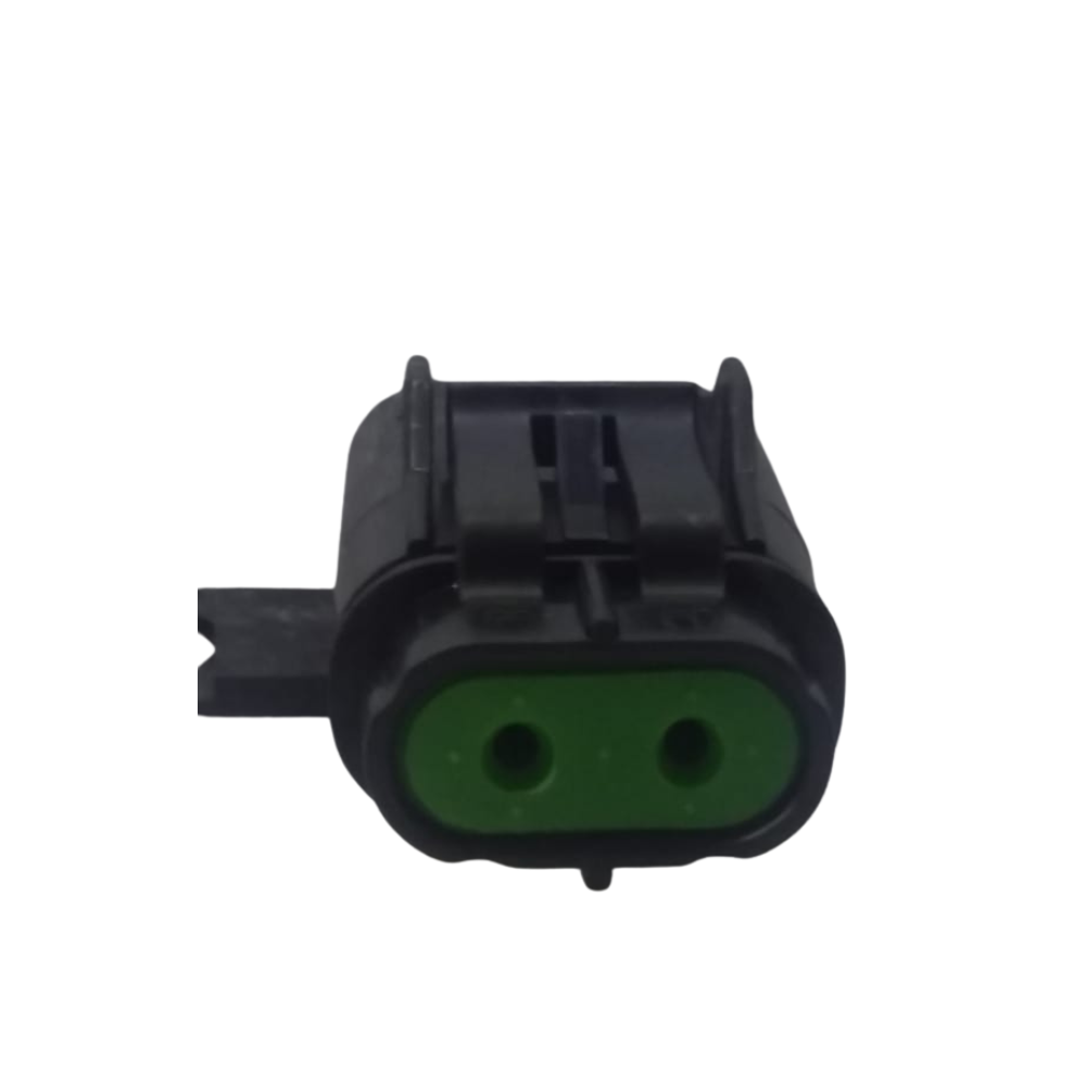 2 Pin Plug Black