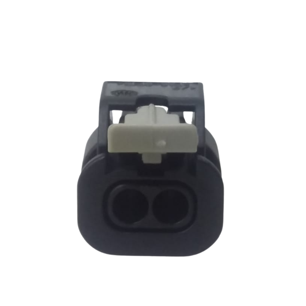 2 Pin Plug Black