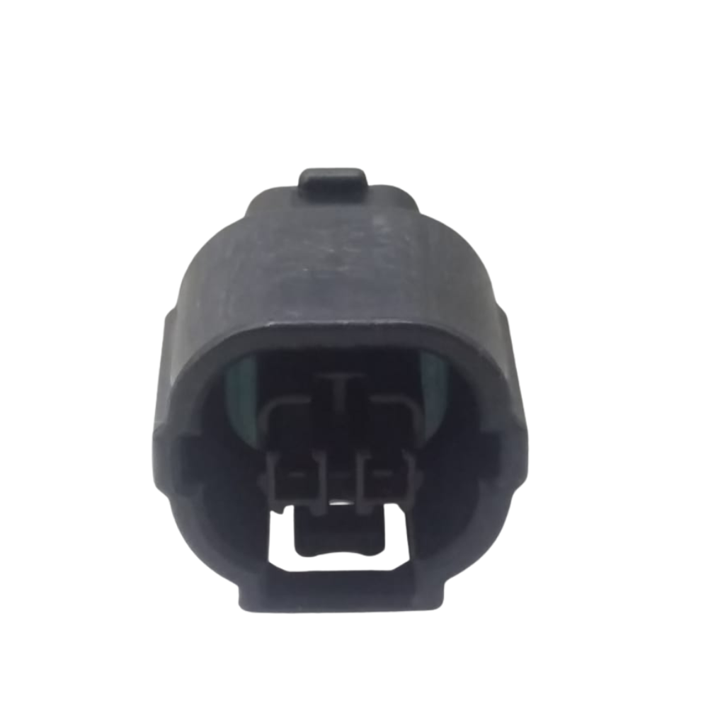 2 Pin Plug Black