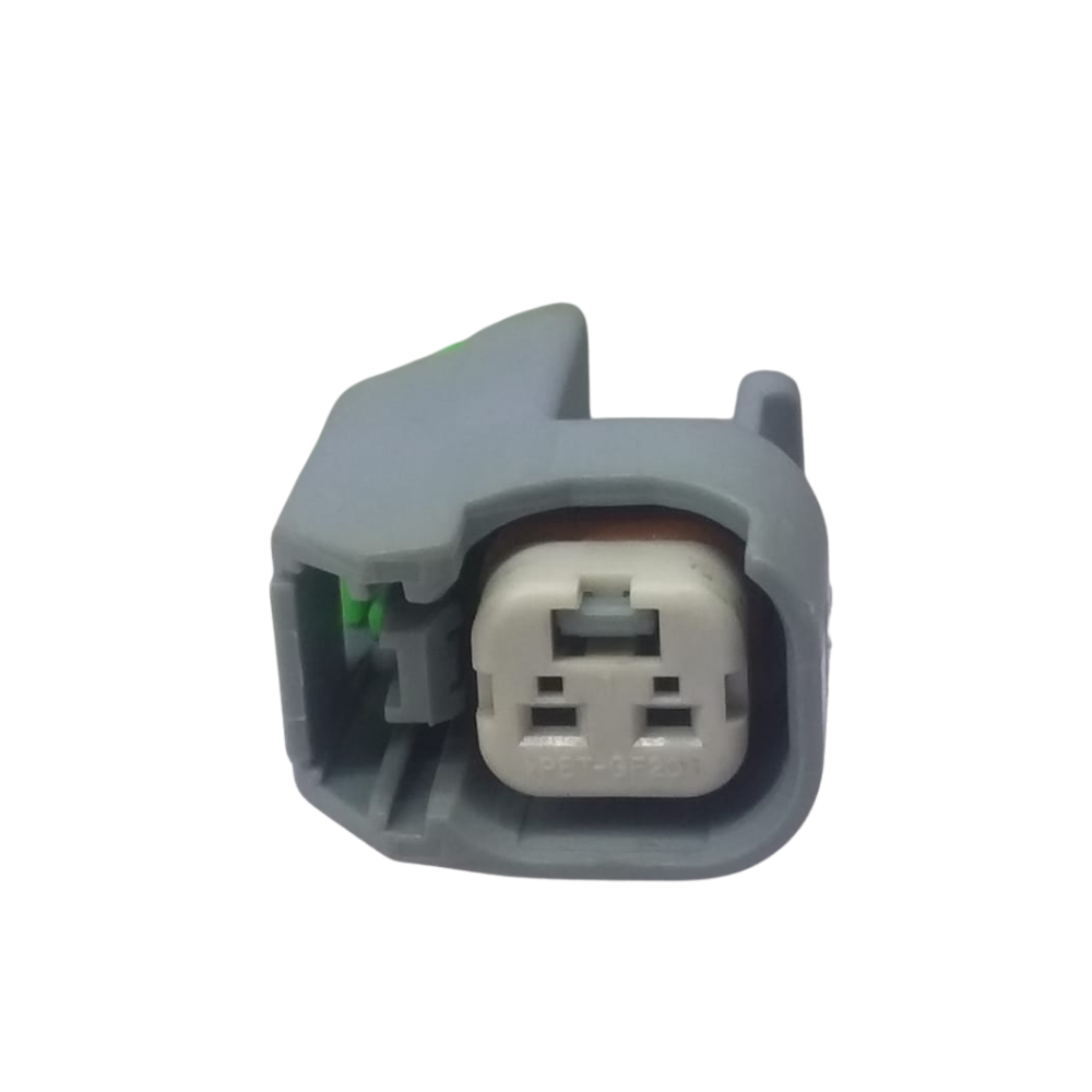 2 Pin Plug