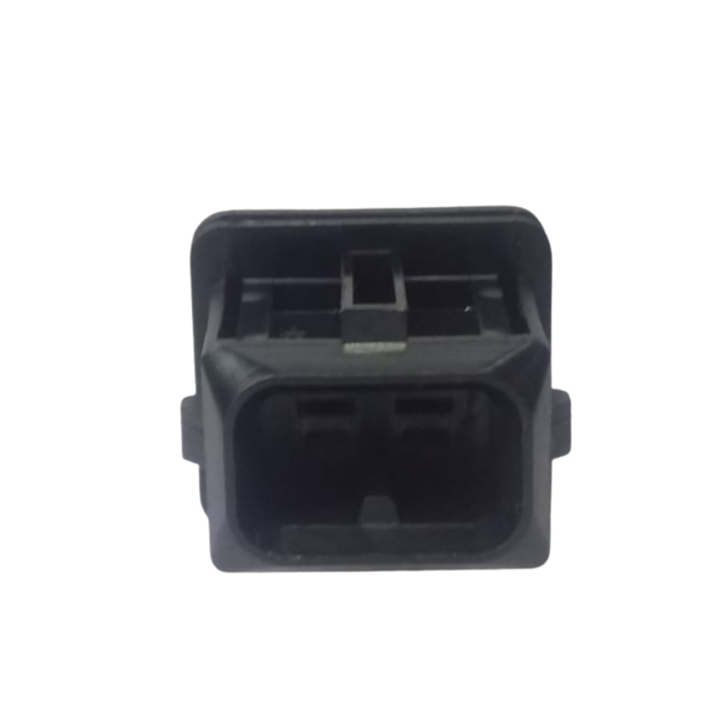 2 Pin Plug Black