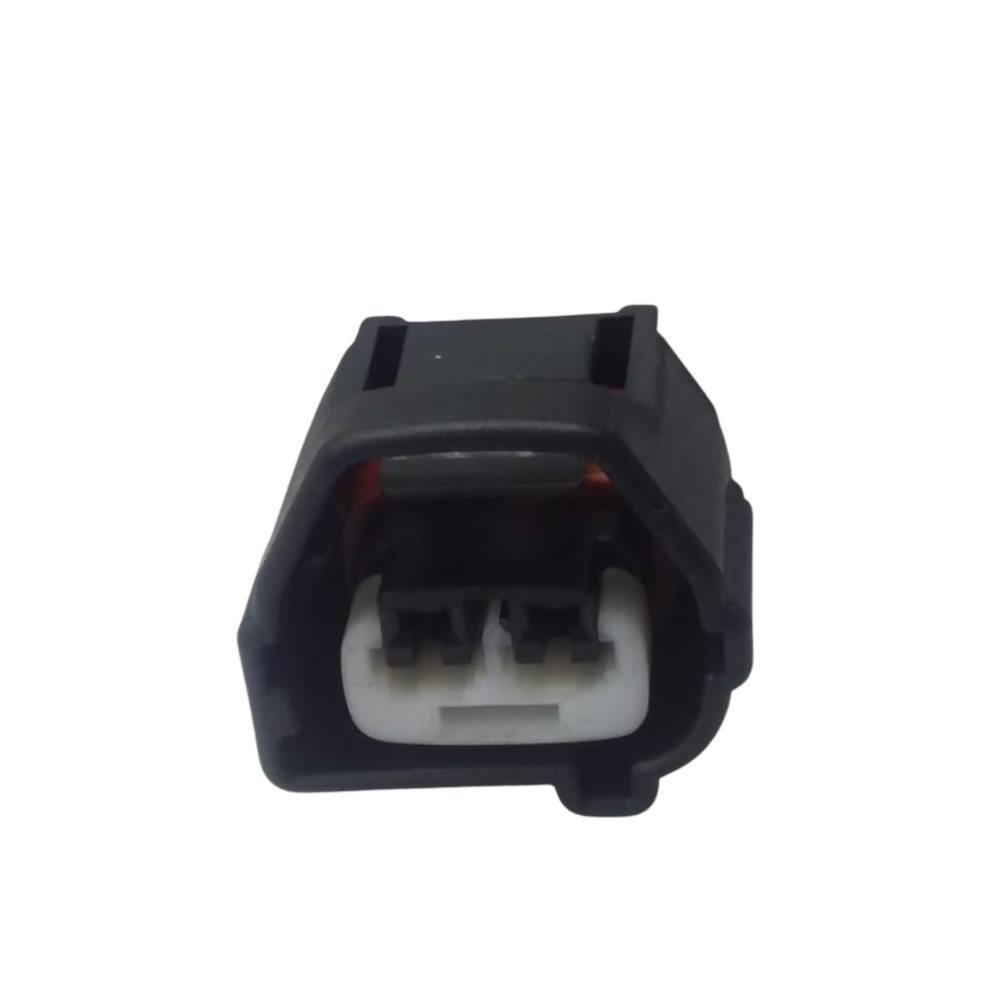 2 Pin Plug Black